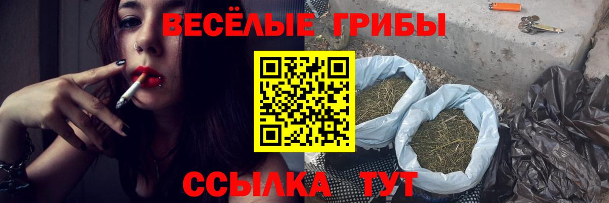 Галлюциногенные грибы Cubensis Сальск